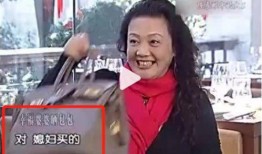 成源媳妇爆料是真的吗视频,成源媳妇爆料视频真实性揭秘